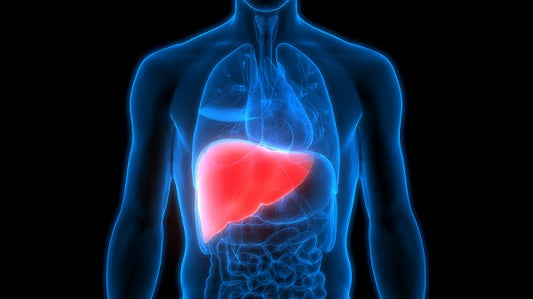 Healing Liver Disorders With Ayurveda