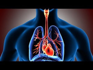MANAGING COUGHS AND BRONCHITIS
